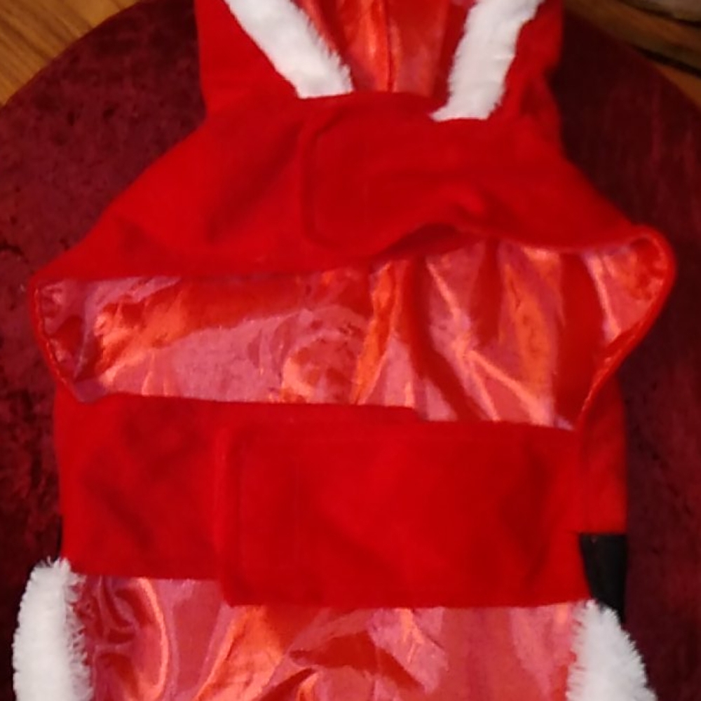 ❤️ Dog Holiday 🎅 Hoodie ❤️ - Picture 6 of 9